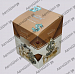  TASOTTI Cube Millionaire