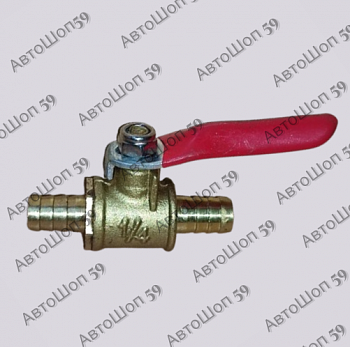 ���� ���������  8��