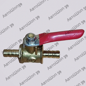 ���� ���������  6��